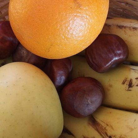 Kastanien gegen Obst-/Fruchtfliegen