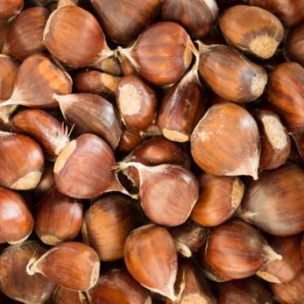 Esskastanien (Maronen) einfach zubereiten