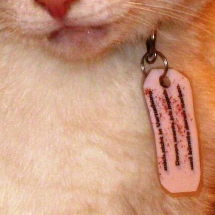 Laminierter Anhänger für Diät-Kater/Katze