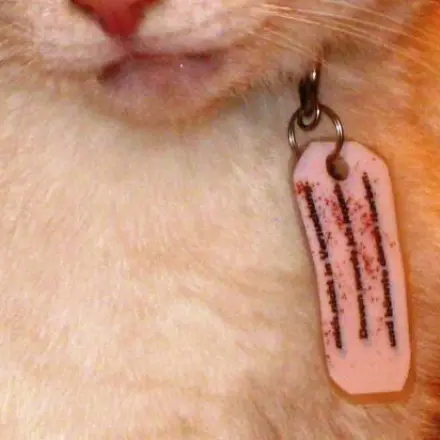 Laminierter Anhänger für Diät-Kater/Katze