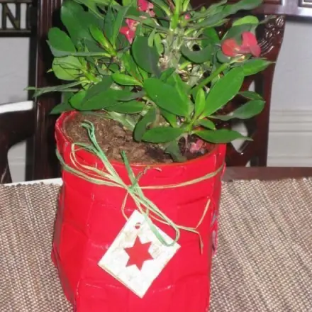 Körbchen aus Zeitungspapier