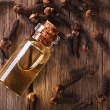 Nelkenöl hilft wirklich gegen Zahnschmerzen