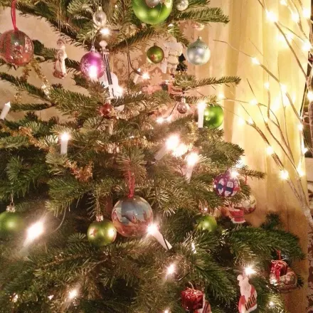 Tipps: So hält der Tannenbaum an Weihnachten länger