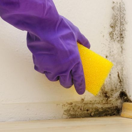 Schimmel beseitigen ökologisch & für länger nur mit Alkohol & Kalk