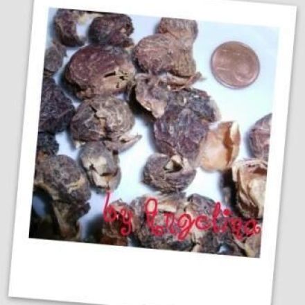 Shampoo gegen Schuppen & bei empfindlicher Kopfhaut