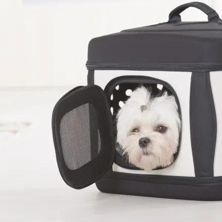 Wickelauflage als Schutz bei Tiertransportbox