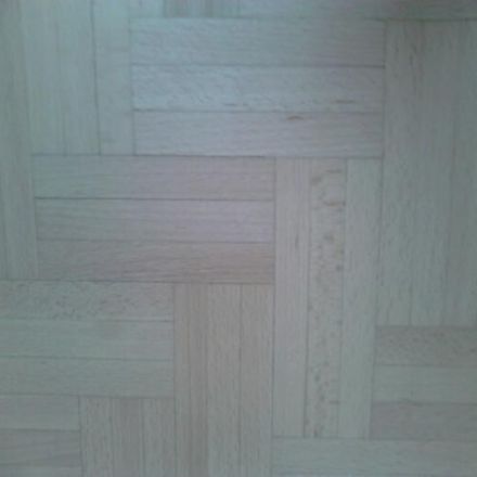 Nebelfeucht Boden wischen - so machen es die Profis