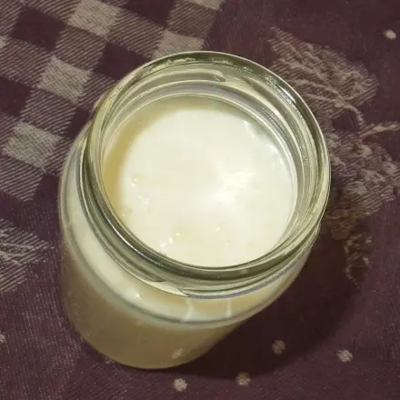 Selbstgemachter Joghurt wie zu Omas Zeiten