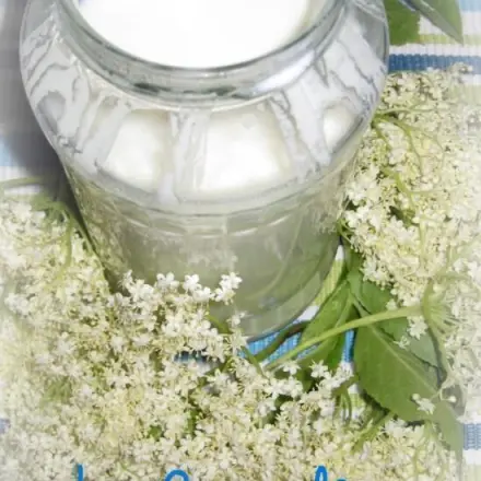 Holunderblüten Joghurt selbst herstellen
