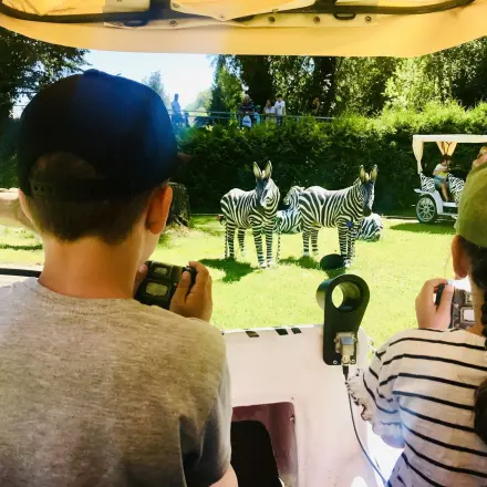 Kleinen Kindern einen Ausflug anhand von Bildkarten erklären