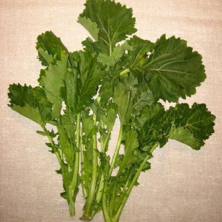 Italienisches Gemüse - Cima di Rapa / Stängelkohl