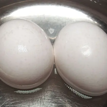 Eier kochen - energiesparend