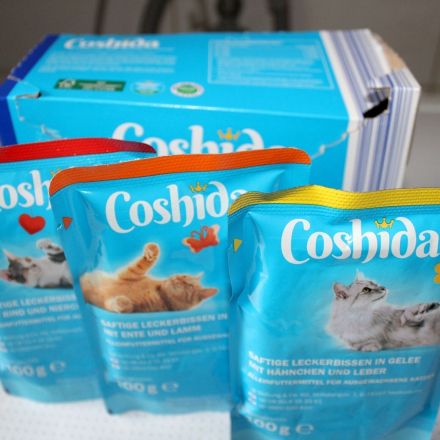 Kühlung fürs Katzenfutter