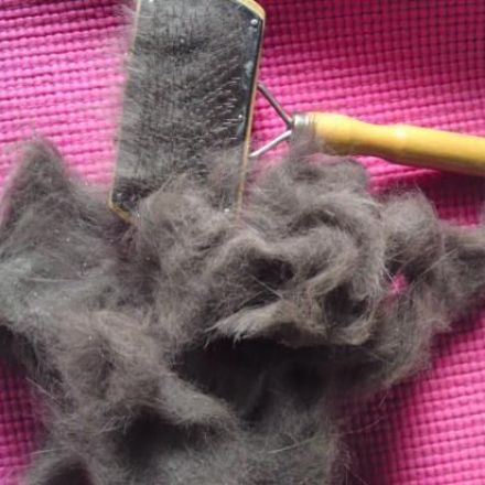 Wanderratten und Mäuse aus dem Garten vertreiben