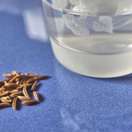 Blähungen - Kümmelschnaps