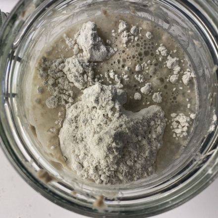 Sauerteig ansetzen - Anstellgut selber herstellen