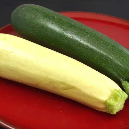 Wohin mit den Zucchinis?
