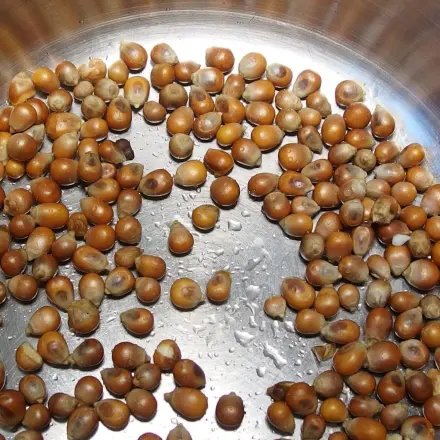 Popcorn im Topf selber machen