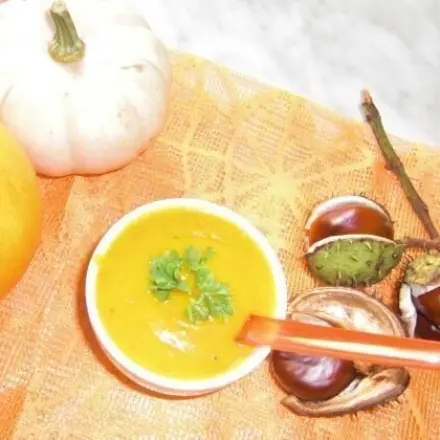 Kürbissuppe mit Kokoscreme, Ingwer und Mango