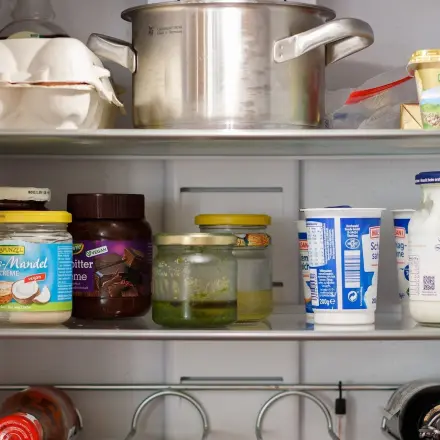 Kühlschrank organisieren und ordnen