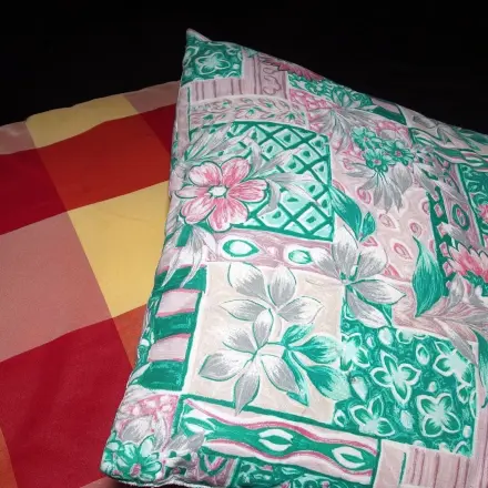 Alte Kissen und Decken ans Tierheim abgeben