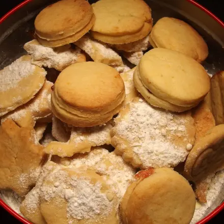 Plätzchen/Kekse richtig aufbewahren: Blechdose oder Plastikgeschirr