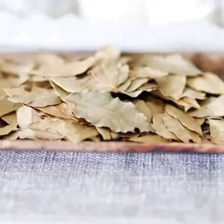 Intensiveres Lorbeer-Aroma