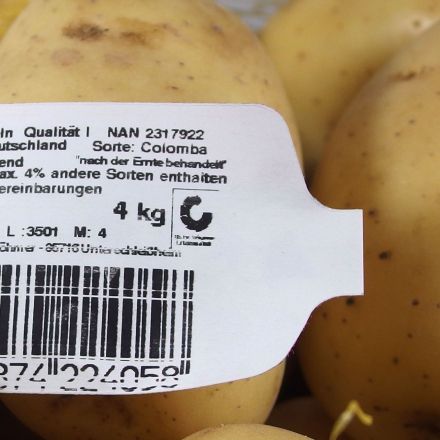 Viele Kartoffeln nach der Ernte behandelt: aufpassen beim Einkaufen