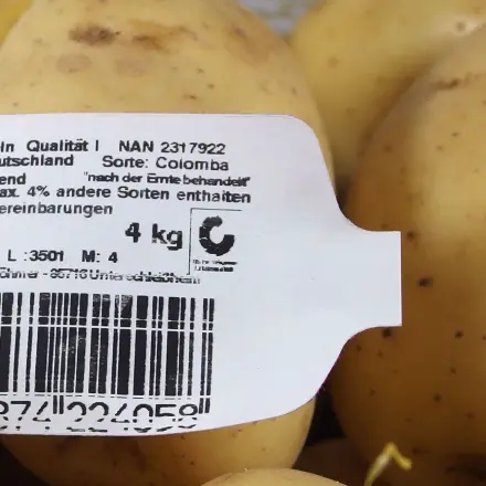 Viele Kartoffeln nach der Ernte behandelt: aufpassen beim Einkaufen