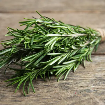 Ein kleiner Strauß Rosmarin - was man alles damit machen kann