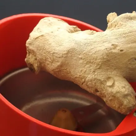 Frischen Ingwer in einer elektrischen Kaffeemühle mahlen