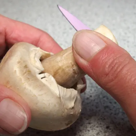 Gebackene Champignons - Vorbereitung beschleunigen - Zeit sparen