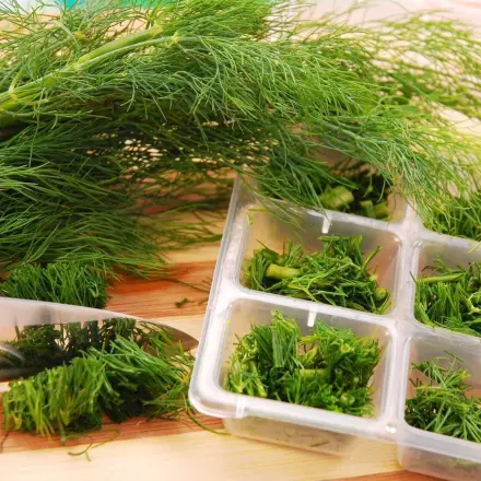 Kräuter einfrieren - Jetzt noch schnell - und sparen