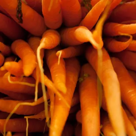 Karotten im Kühlschrank länger frisch halten