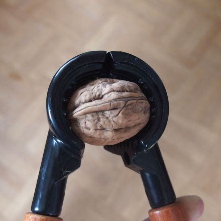 Walnüsse richtig knacken: quer knacken