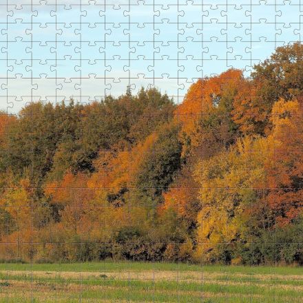 Puzzleteile verrutschen nicht: Rand der Puzzleplatte mit Leim umranden