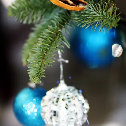 Verletzungen bei Hunden vermeiden: Weihnachtskugeln hoch hängen