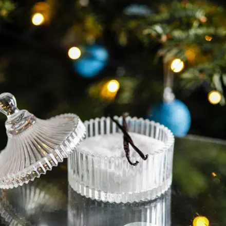 Vanilleschote voll und ganz ausnutzen - im Mixer zerkleinern