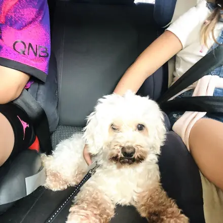 Kinder auf langen Autofahrten beschäftigen - 3 Tipps