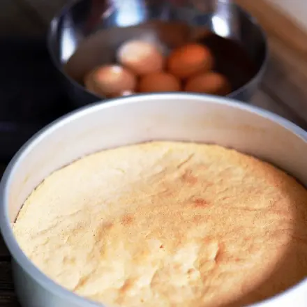 So wird Bisquitteig-Boden lockerer