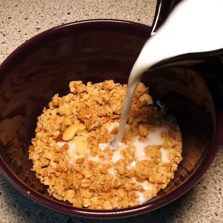 Milchersatz lactosefrei - selbst herstellen