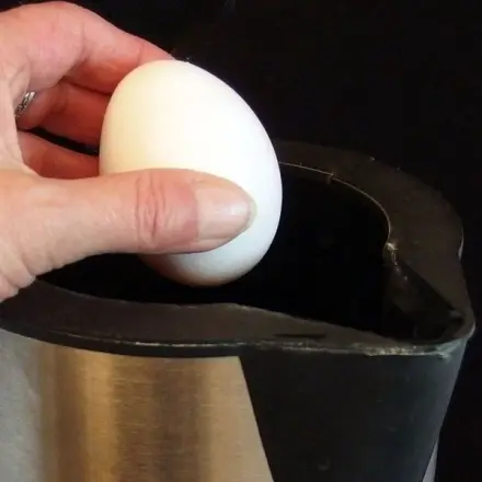 Eier kochen: einfach, schnell & sparsam