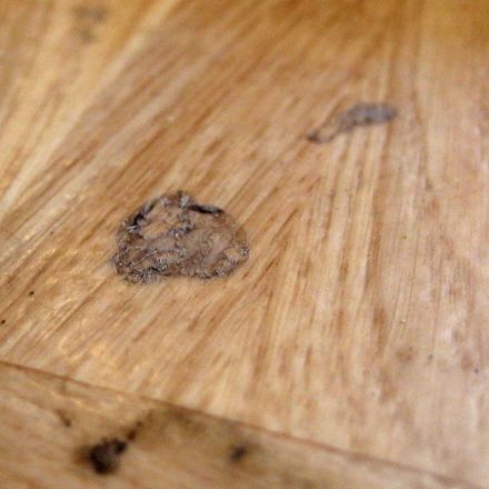 Klebrige Flecken auf PVC-Belag: mit Speiseöl entfernen