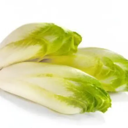 Bitterstoffe im Chicoree entfernen