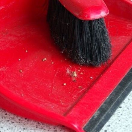 Krümel auf Arbeitsplatte / Tisch - abkehren