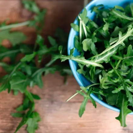 Rucola wie Spinat zubereiten