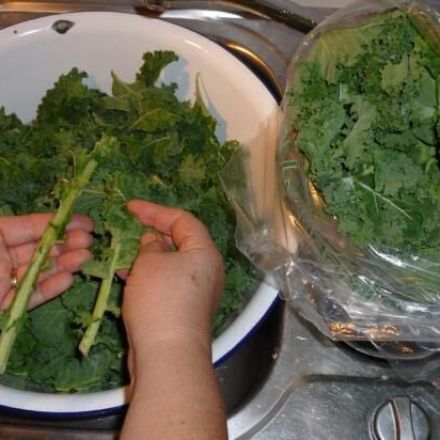 Frischen Grünkohl vorbereiten und verarbeiten