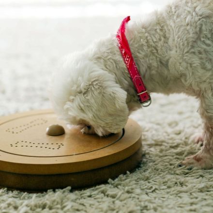 Schöne und originelle Weihnachtsgeschenke