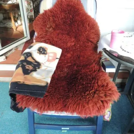 Kuscheliger Raucherplatz für meine Gäste