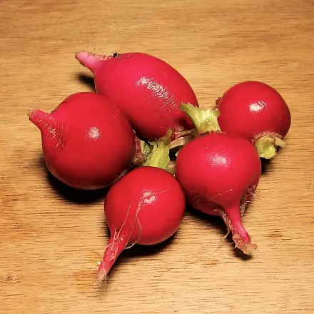 Einfaches und leckeres Rezept für übergebliebene Radieschen